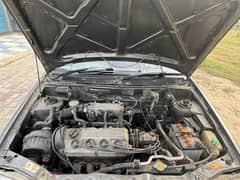 Suzuki cultus