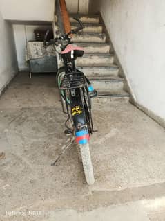 Pedals & Peace  Rolling Through Life  Two Wheels,