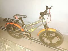 baby cycle