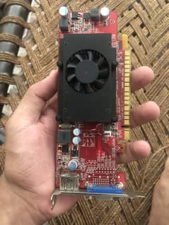 Nvidia GEForce GT 620 1 GB Graphic Card