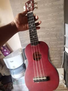 imported ukulele