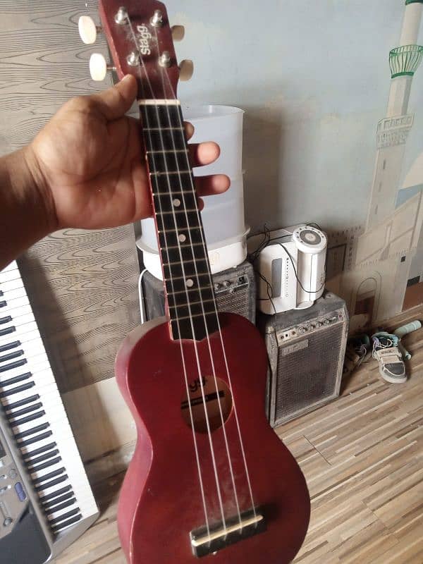 imported ukulele 1