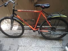 New Phonix cycle