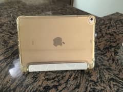 iPad mini 5