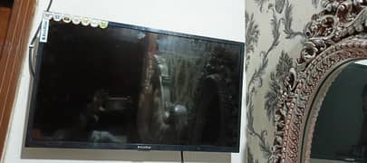 Eco Star LCD For Sale