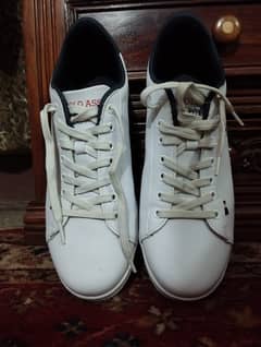 US Polo sneakers at a great price!
