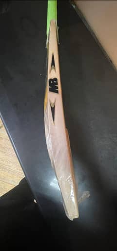 Cricket