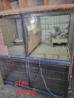 birds cage