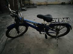 Bicycle | Medium Sized