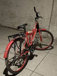lage size cycle