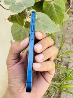 Iphone 12 Mini PTA Approved 128GB