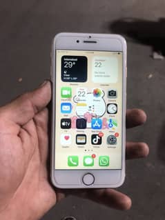 Iphone 7 pta approved