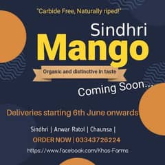Sindhri & Anwar Ratol Mangoes