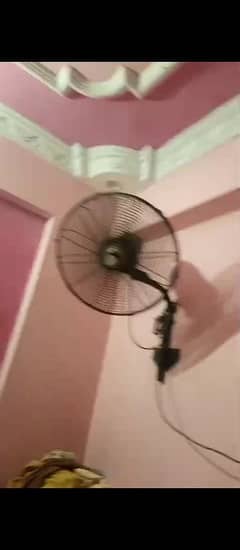 royal bracket fans