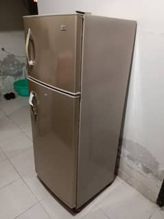Haier