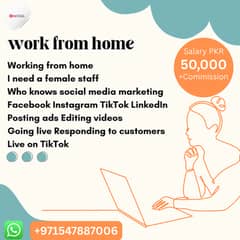 Online work from home Social Media Marketing- Female