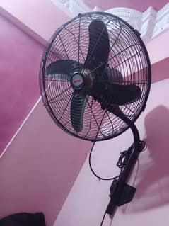 royal fan
