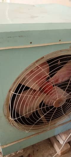 electric cooler