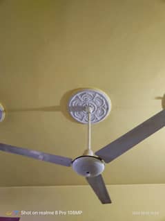 fan