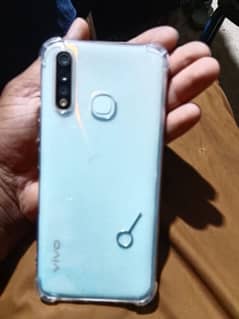 vivo