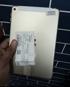 Apple Ipad mini 4