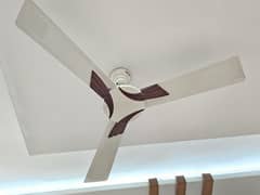 ceiling fan
