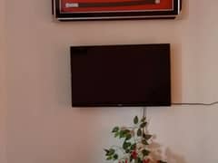 Haier lcd for sale location shergharh
