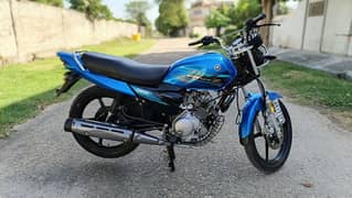 YAMAHA YBZ DX 22/23 fr sal