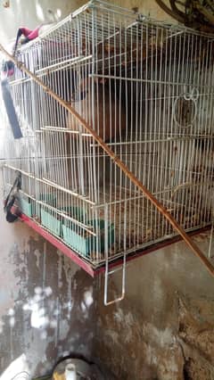 cage
