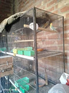 Cages for birds