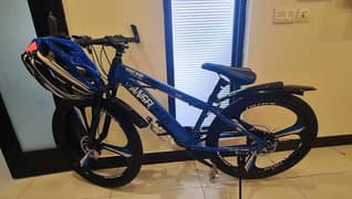 Angel Baby Aluminum Bike (Full Size)