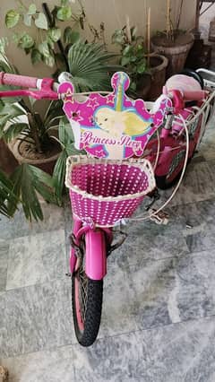 Princess Bicycle for Girls