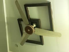 Crown Star Fans 100% Copper