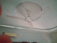 seeing fan