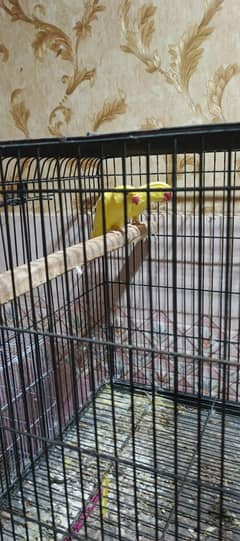 Setup for sale Urgent Going to lahore