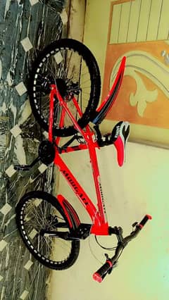 Bicycle for sale size 24 new conditions all ok