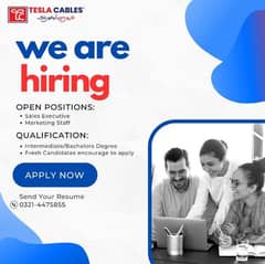 Sales Executive