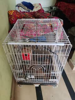 Birds Cage for Sale in good condition