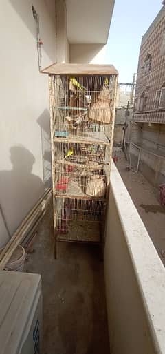 Cage sale