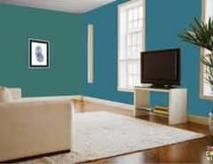 windows + door + home collar  03160019472