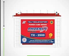 phoenix tubular battery