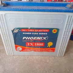 TALL TUBULAR BATTERY 1800