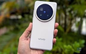 Vivo