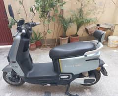 scooty