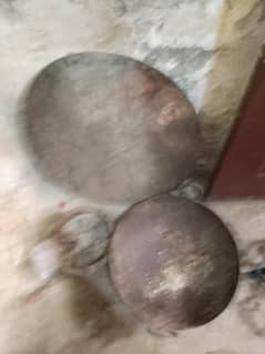 shami tava or karai for sell ha