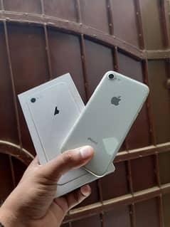 iphone 8 pta approved