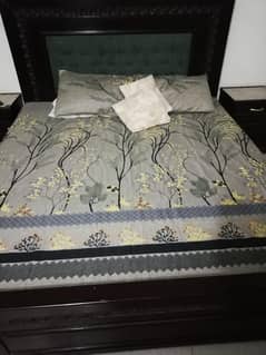 Bed drising for seal  palas Metras