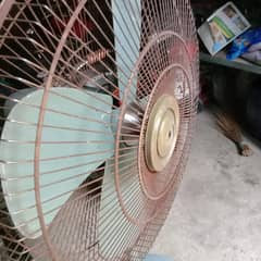 ceiling fan