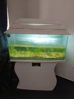 Aquarium for sell 3 fit size