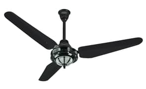 Antique (220 Volt)